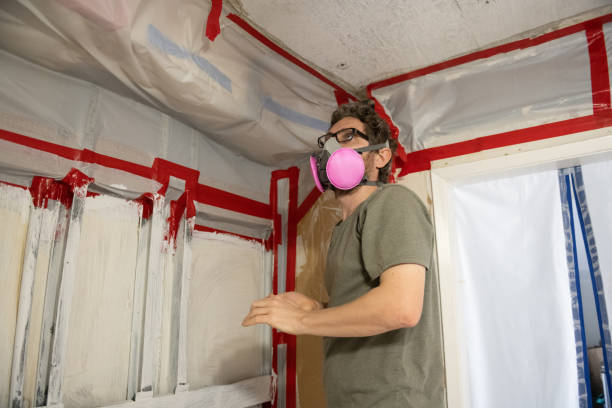 Best Black Mold Removal  in Thornville, OH