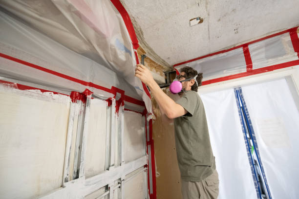 Best Attic Mold Removal  in Thornville, OH